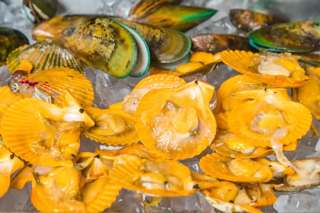 骞垮窞浜旀槦閰掑簵鑷姪鍗堥鎺ㄨ崘,鏂板鑷姪鍗堥