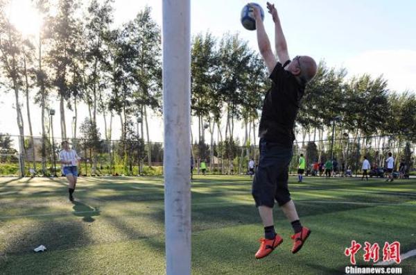 野球场玫瑰,野球场