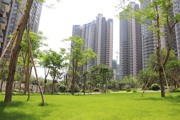 购买的期房成为烂尾楼了怎么办,开发商破产网签的期房怎么办