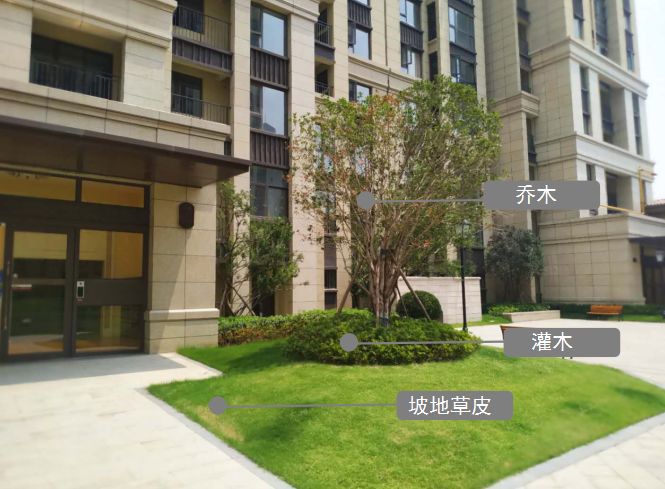 六年深耕，片区之王造城记