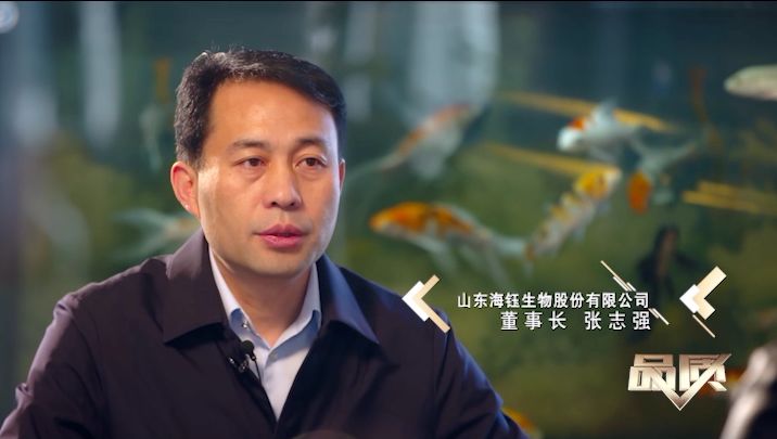 让爱回家温情,综艺片让爱回家