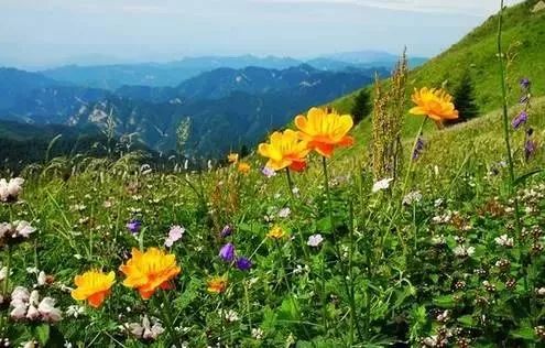 冀情山水(33)|有了这些均温不足20℃的空调山,再热情的“烤验”也挡得住!