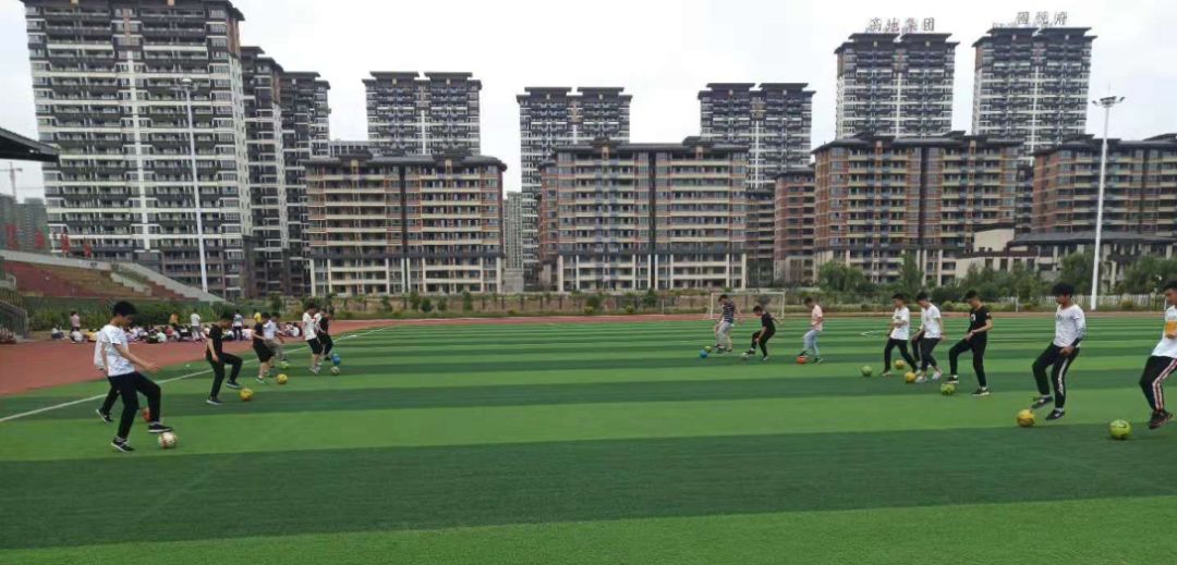 六安市最新学校事件,六安学校事件最新