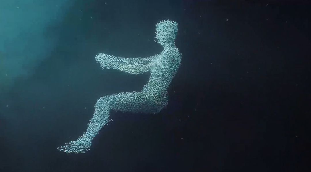 戛纳国际创意节户外奖,戛纳国际电影节新闻