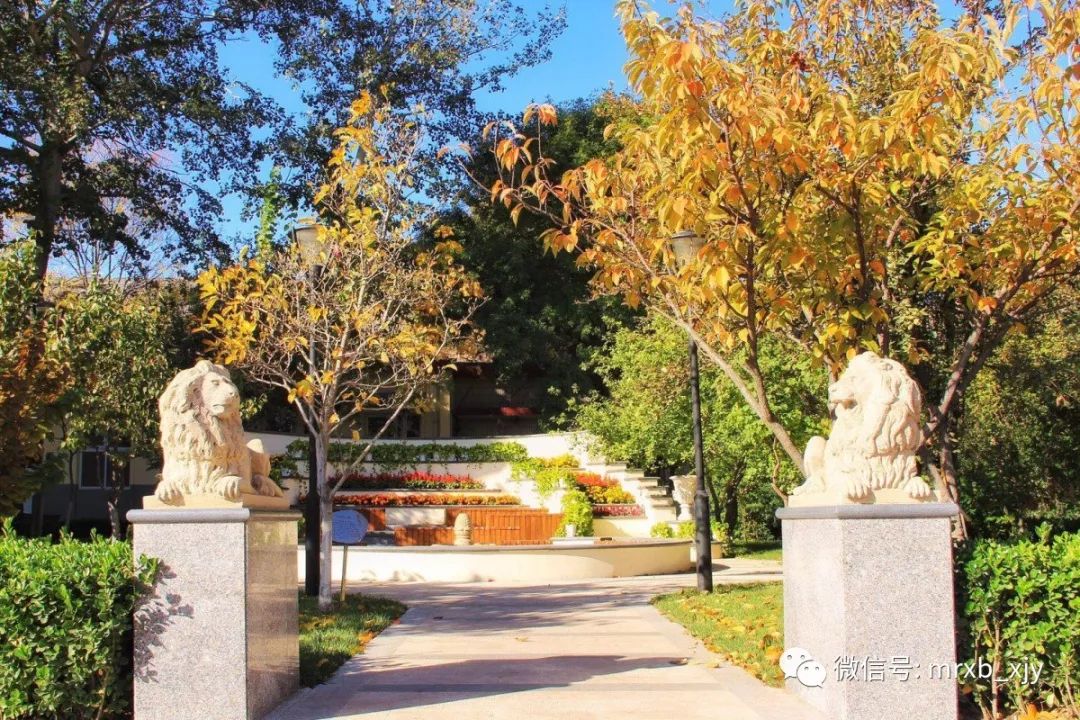 天津第七中学新校区,天津市第七中学大港区