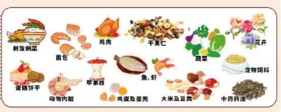 科普为什么垃圾要分类,科普垃圾分类图片