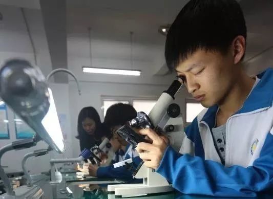 天津市第九中学在市排名,天津市滨海新区第九中学