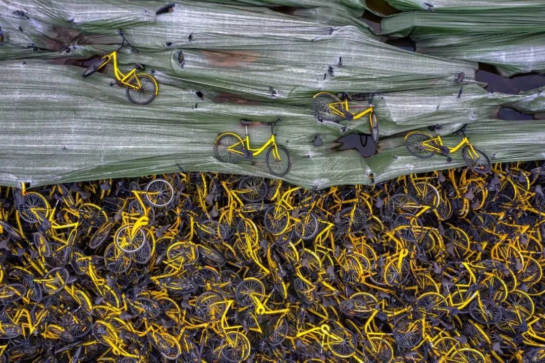 ofo的江湖救急新闻,ofo的故事