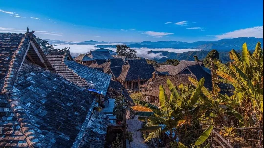 来西双版纳，做大自然的学生|雅居乐·西双林语夏令营开始报名啦