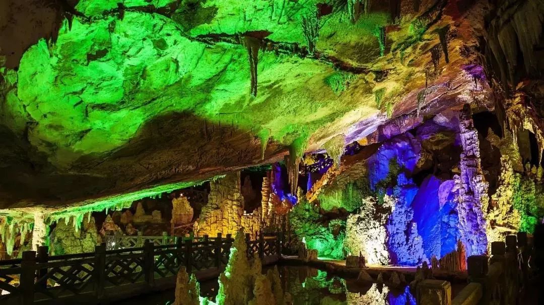 来西双版纳，做大自然的学生|雅居乐·西双林语夏令营开始报名啦