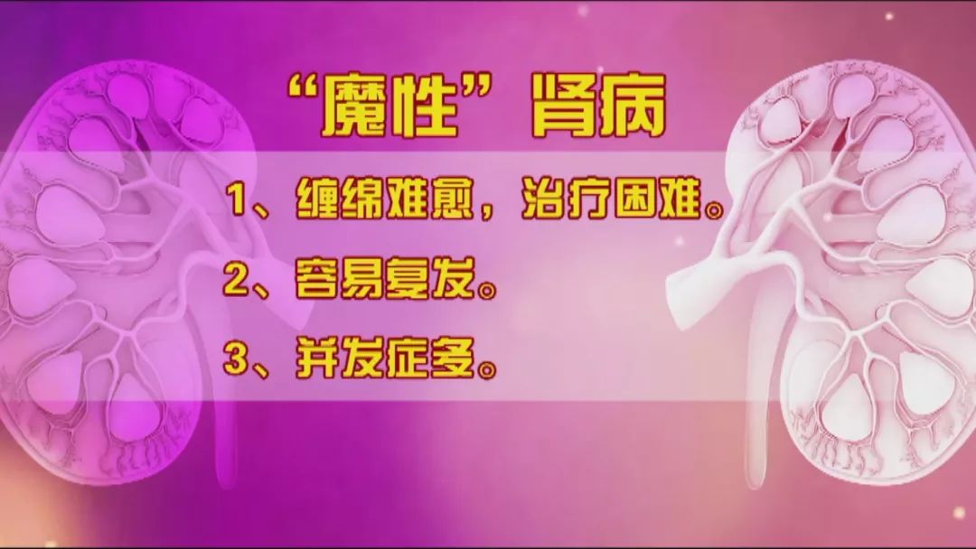 北京卫视养生堂治疗糖尿病肾病,养生堂2023.11.7全集免费