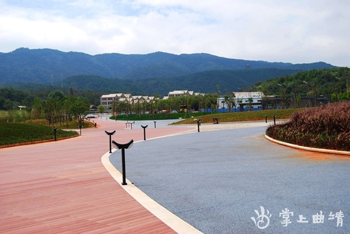 带您走进陆良彩色沙林风景,陆良彩色沙林风景区今年人多不多