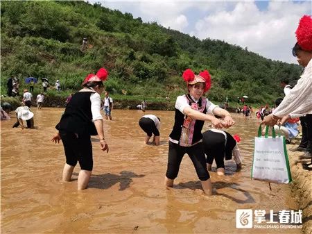 团结乡核桃箐五彩稻田,五彩田园捉鱼