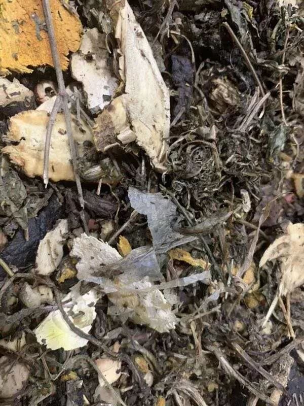 网友花千余元抓来十余袋药物，不料药包内竟掺杂大量异物，院方回复......