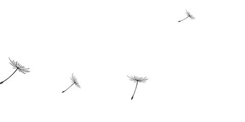 浙江不限学历招聘,浙农控股集团有限公司招聘