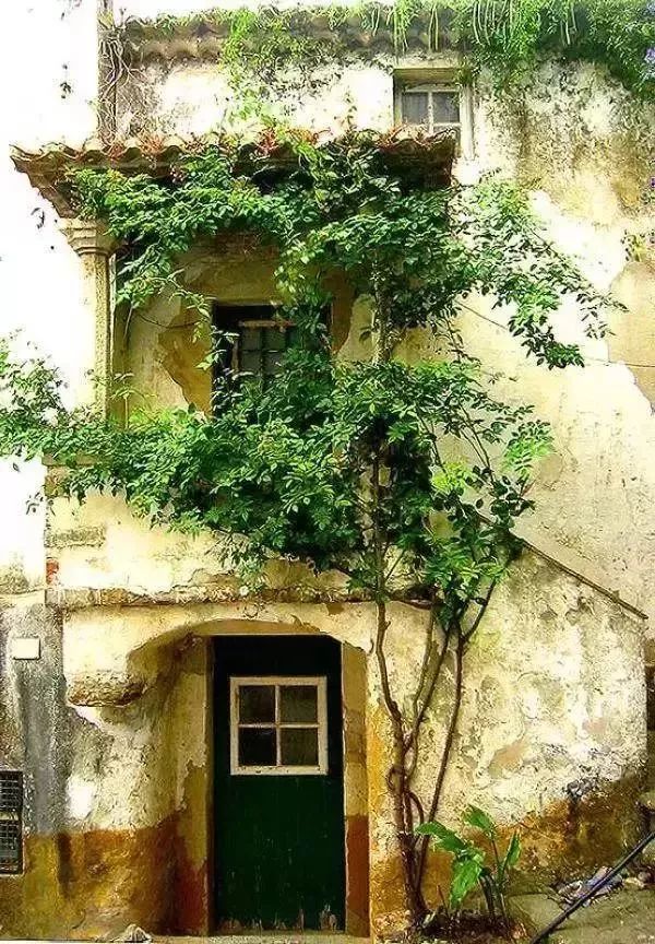 昆明有什么优惠政策,昆明有哪些惠民政策