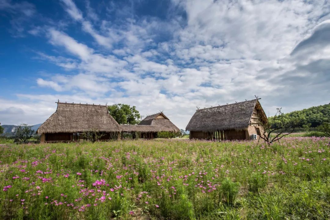 我们常说中华文明有上下五千年,中华文明五千年一路走来