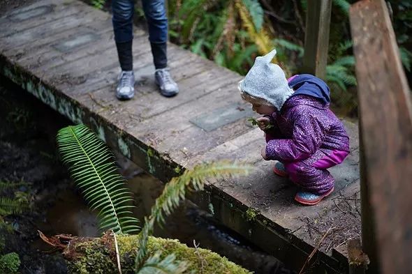 佳能r6和索尼a7m3和尼康z6,索尼a7m324-105和尼康z6