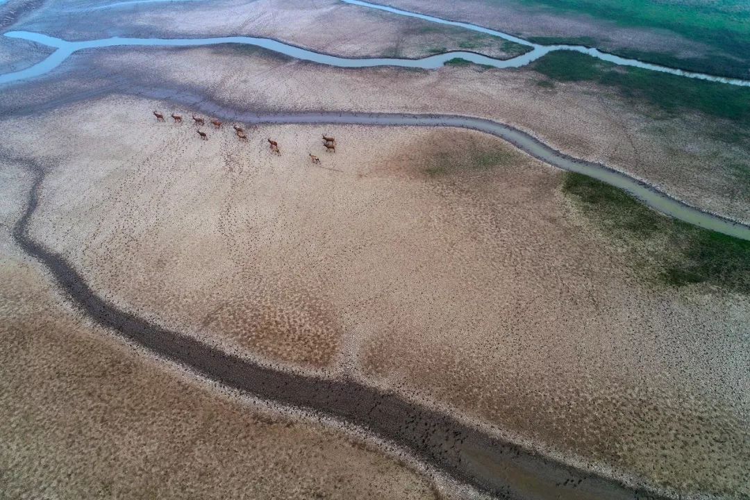 江苏的世界遗产旅游景区,江苏哪些地方被列入世界文化遗产