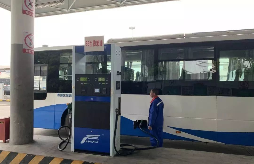 城市地沟油如何处理,城市里面的地沟油跑哪里去了