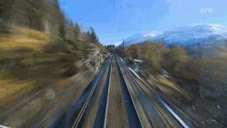 时差岛法国人,时差岛上