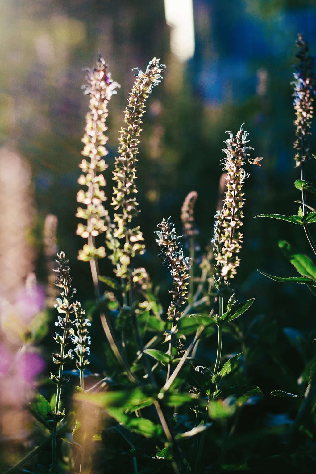 500元购买佳能m50,网购100元电脑开箱