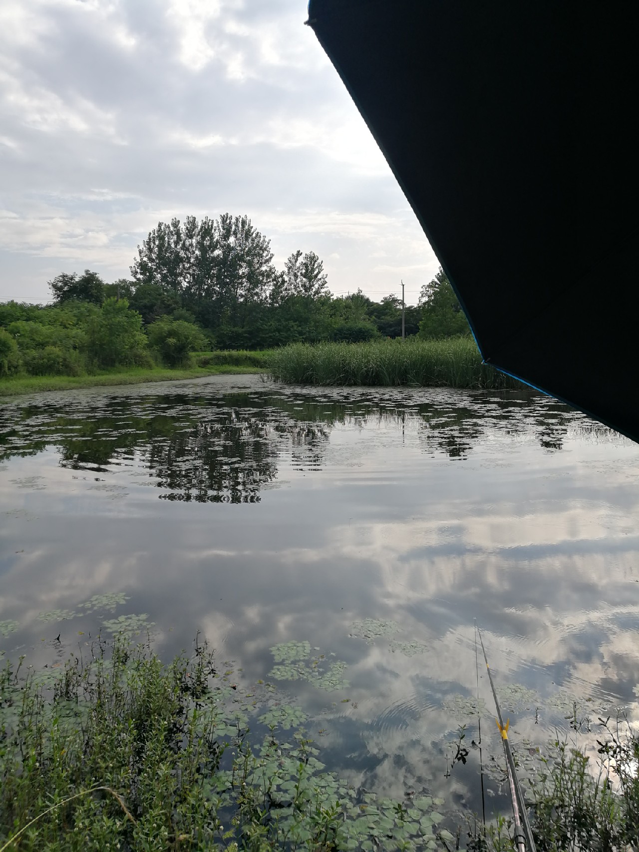 头顶烈阳开拓钓位逐泡寻鲫放流可怜鱼获