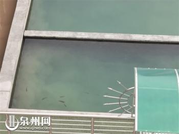 自来水加氯真的有用吗,自来水用氯消毒靠谱么