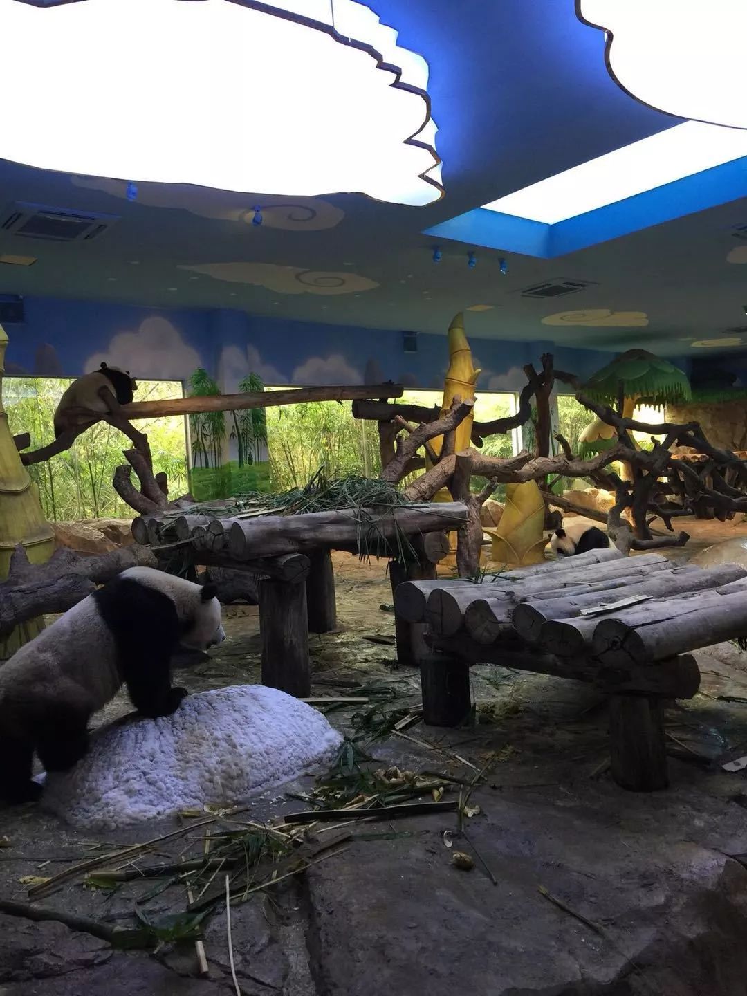 广州长隆动物园亲子游攻略三日游,广州长隆动物园游玩攻略