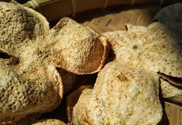 虫蛀的陈皮还能吃吗,陈皮虫蛀了怎么办