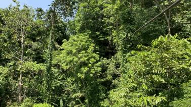 普吉岛旅游自由行推荐哪个酒店,普吉岛值得打卡酒店