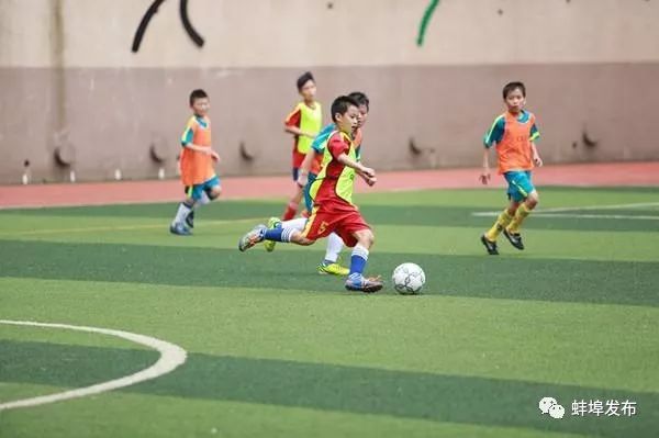 厉害了参赛队伍高分拿下一等奖,厉害了蚌埠