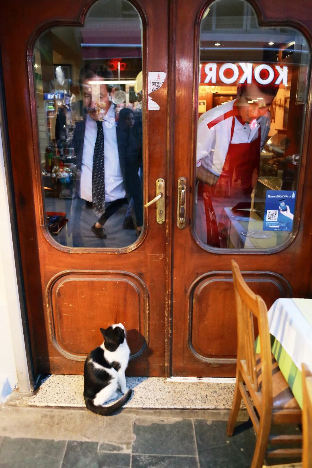 猫为什么高冷一点面子都不给猫,猫咪主子你的高冷去哪里了