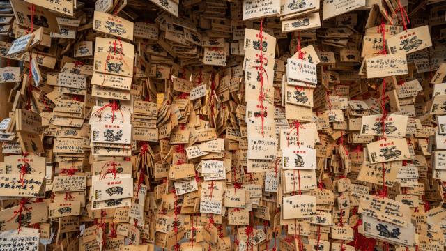 连阿里巴巴都点名！拿奖拿到手软的“葡萄王”来了~入园采摘，尽享千元农家菜