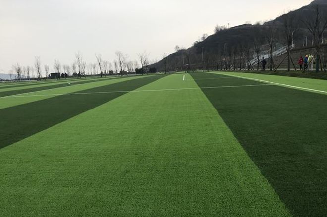 必须知道的二青会知识,二青会倒计时