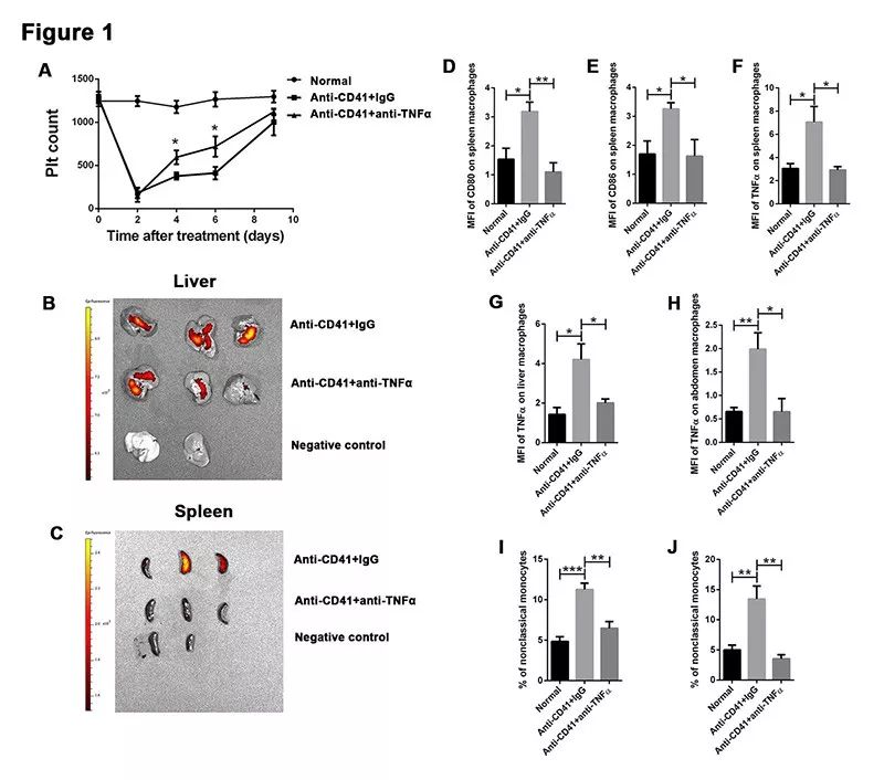 2019ISTH|原发免疫性血小板减少症的治疗探索:TNF-α阻断