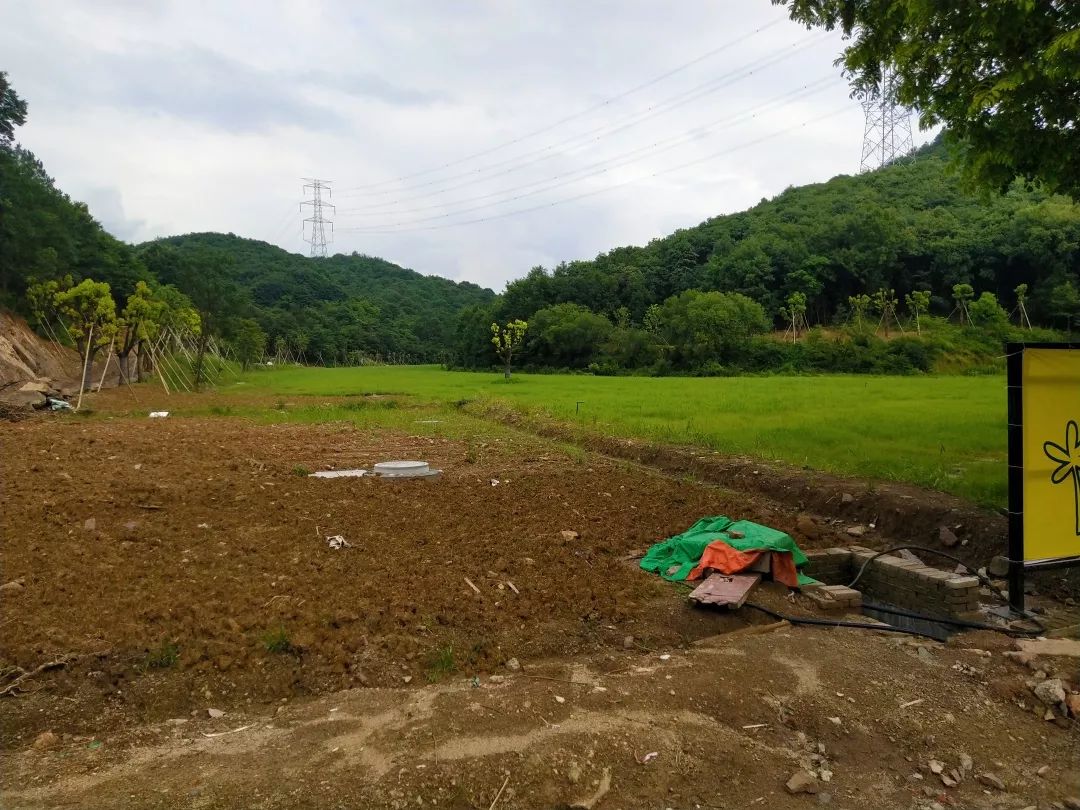 动物谷乐园,动物山谷乐园