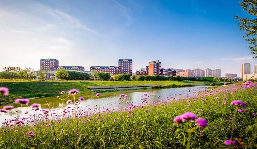 中国楼市交付样板区,样板区什么时候能成为房地产标配