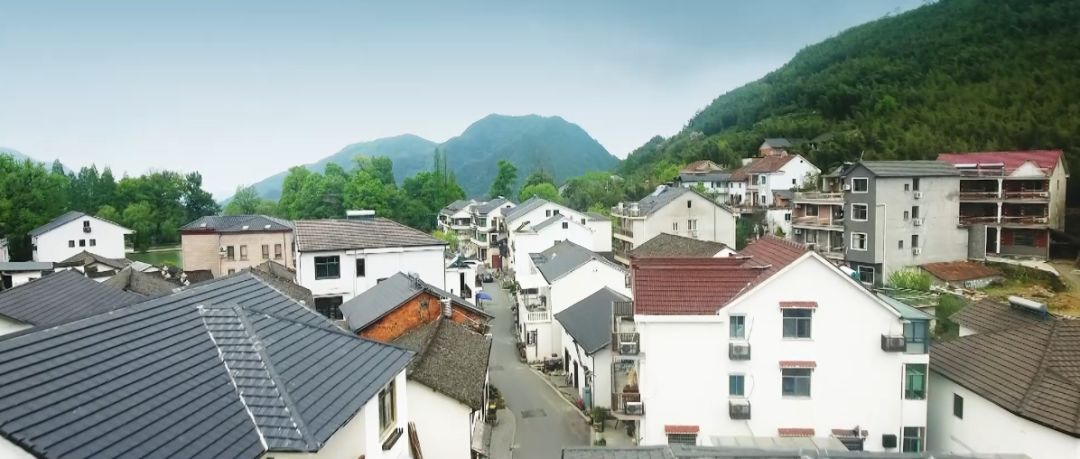 告白！以浙江的名义！看交通的实力