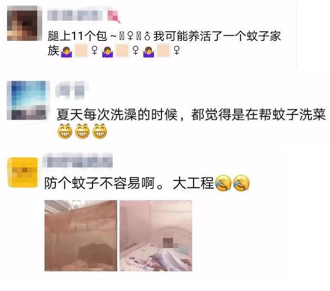 驱蚊大招了解一下？蚊子出没预报出炉：云南是重灾区