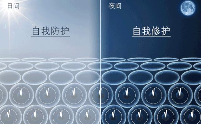 小棕瓶试用·集结篇|时MAO评测团