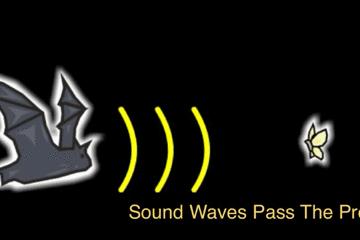 蚊子驱蚊音乐,蚊子灭蚊神曲