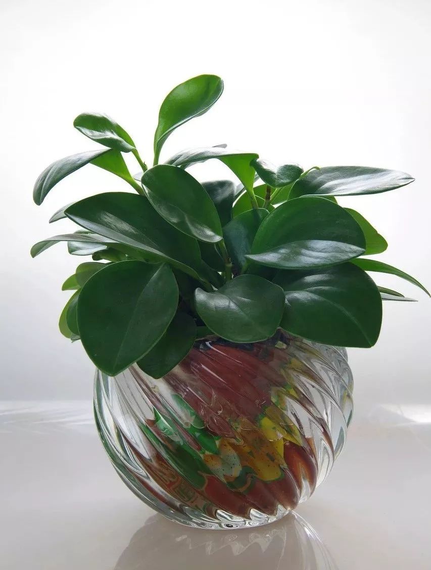 夏天房间开空调有臭味怎么解决,夏天空调有味换什么