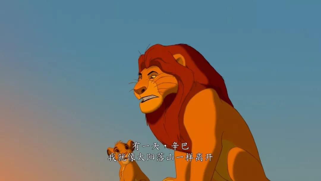 现实版狮子王比想象的更残酷,狮子王真狮版狮王之死