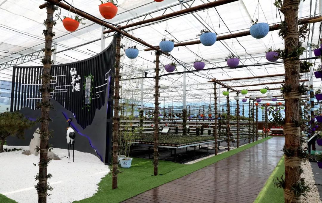 处处是干事创业的激情与精彩！全市乡村振兴和“双招双引”重点项目观摩点评之奎文、潍城、青州、临朐篇