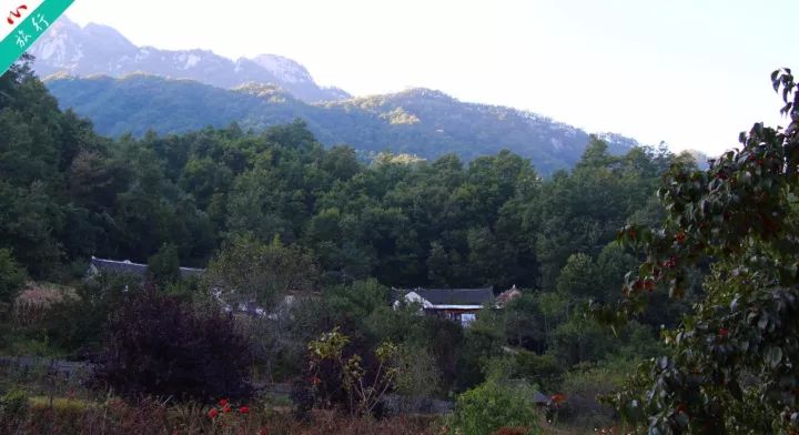 洛阳养子沟自驾游攻略,洛阳养子沟的景点