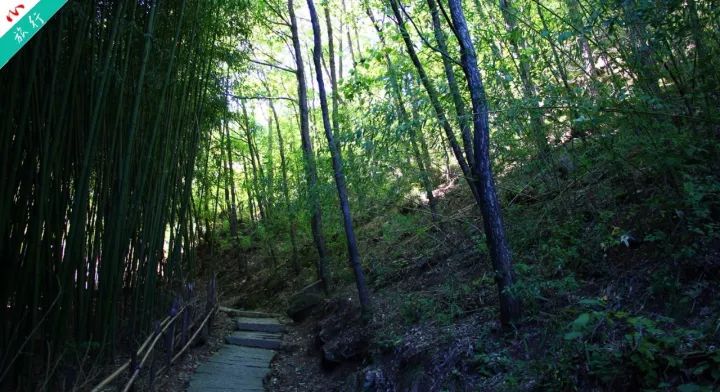 洛阳市养子沟旅游攻略,养子沟一日旅游攻略