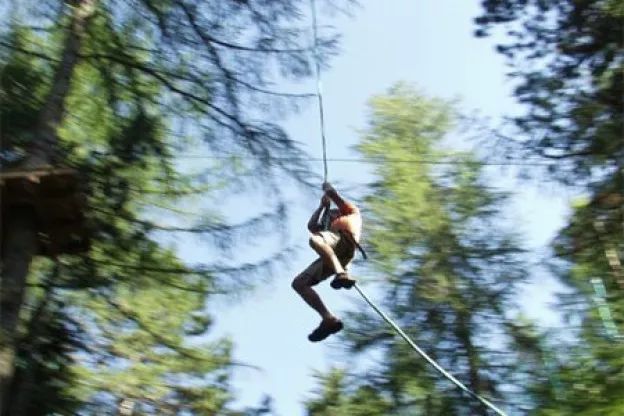 鏍戦《鎺㈤櫓鍏洯娓哥帺,鏍戦《鎺㈤櫓鍏洯娓哥帺鏀荤暐