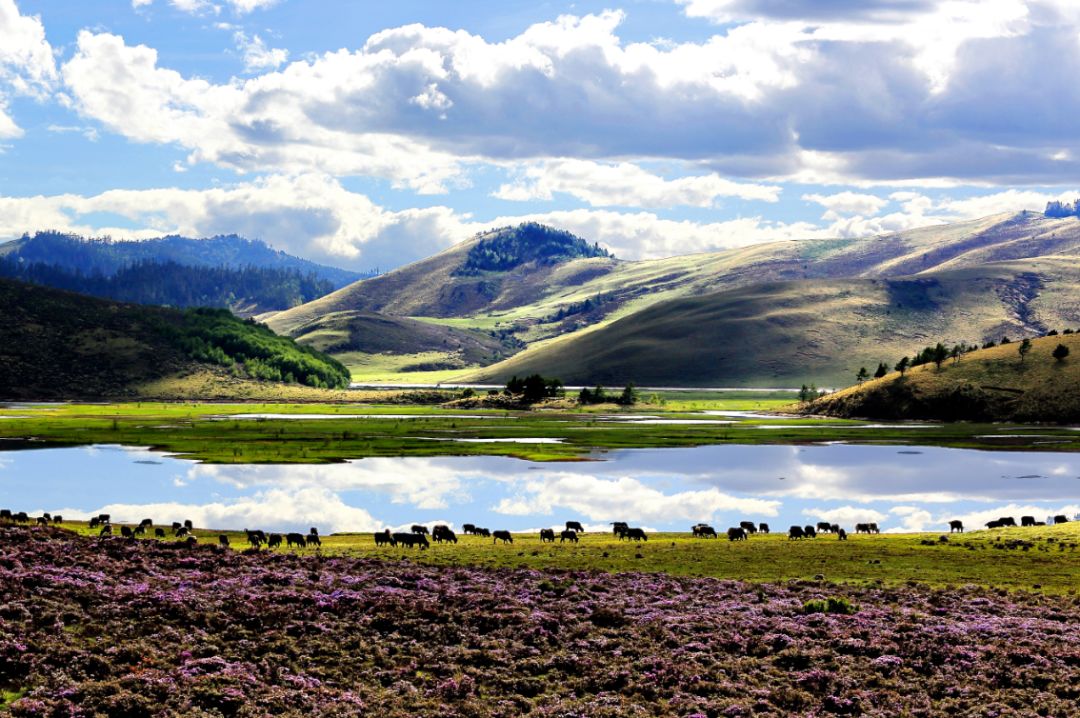 中国梦70周年绘画图片,70周年中国梦绘画作品图片