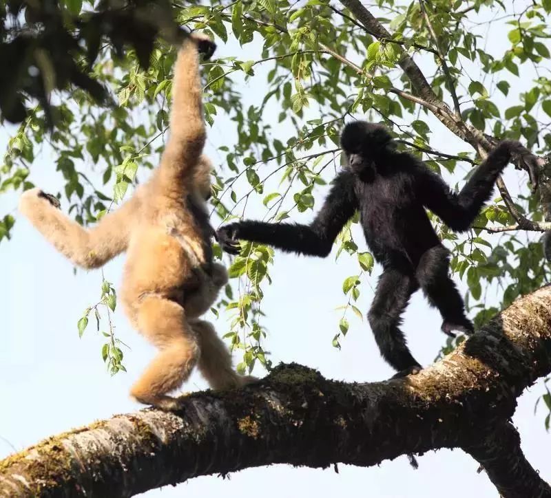 小动物科普活动,动物科普活动